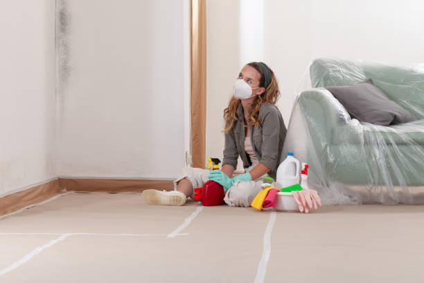 Reliable Black Mold Remediation contractor in Springfield, MI by Car Mold Remediation